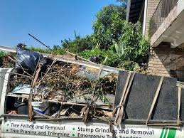 Best Basement Cleanout  in Ossian, IN